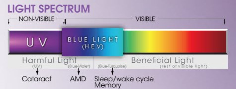 Vidljiva svetlost i UV zraci