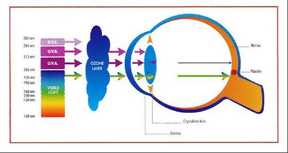 Kako utiču svetlosni talasi i UV zračenje na oko
