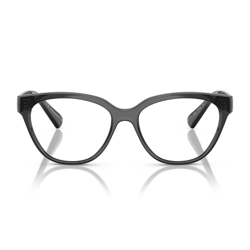 Armani Exchange AX3117U 8356 54