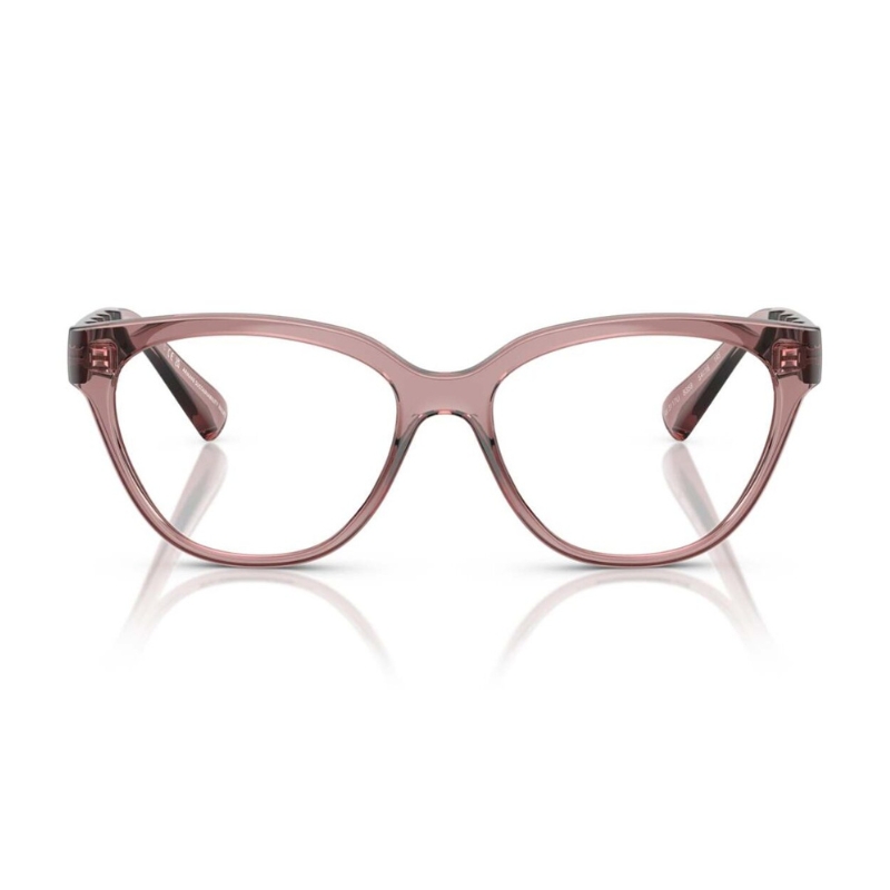Armani Exchange AX3117U 8359 54