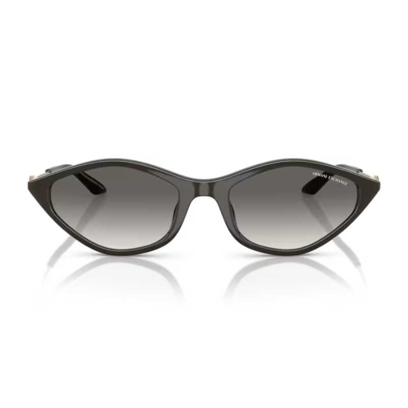 Armani Exchange AX4152SU 836711 55