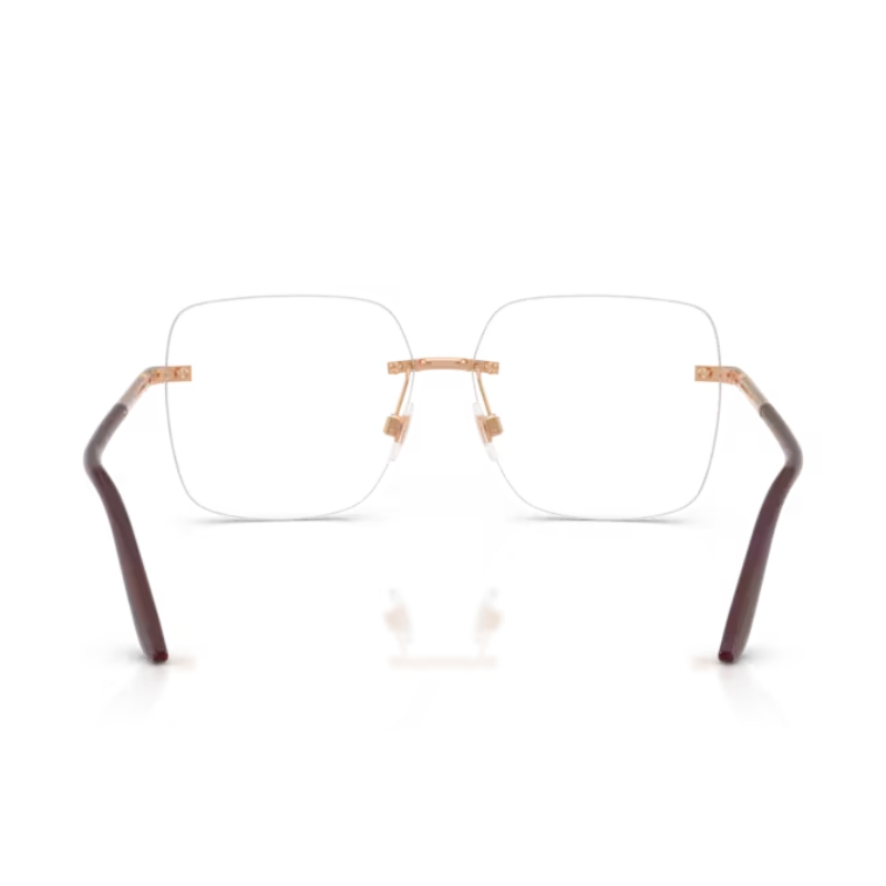 Dolce & Gabbana DG1360 1298 57