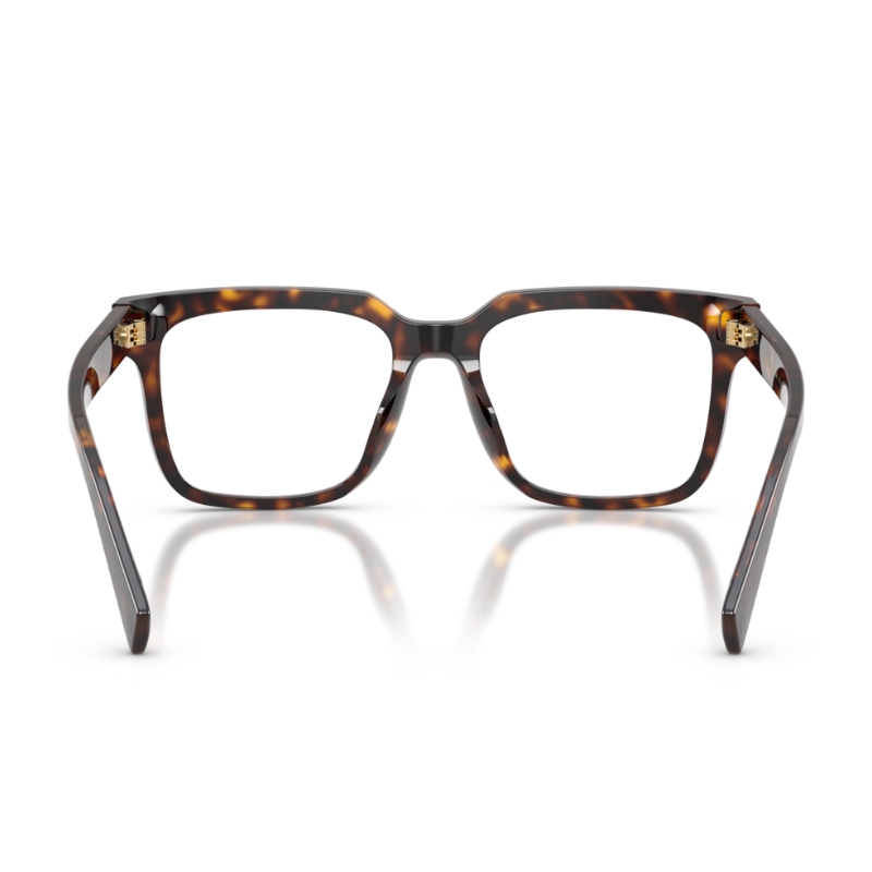 Dolce & Gabbana DG3422 502 51