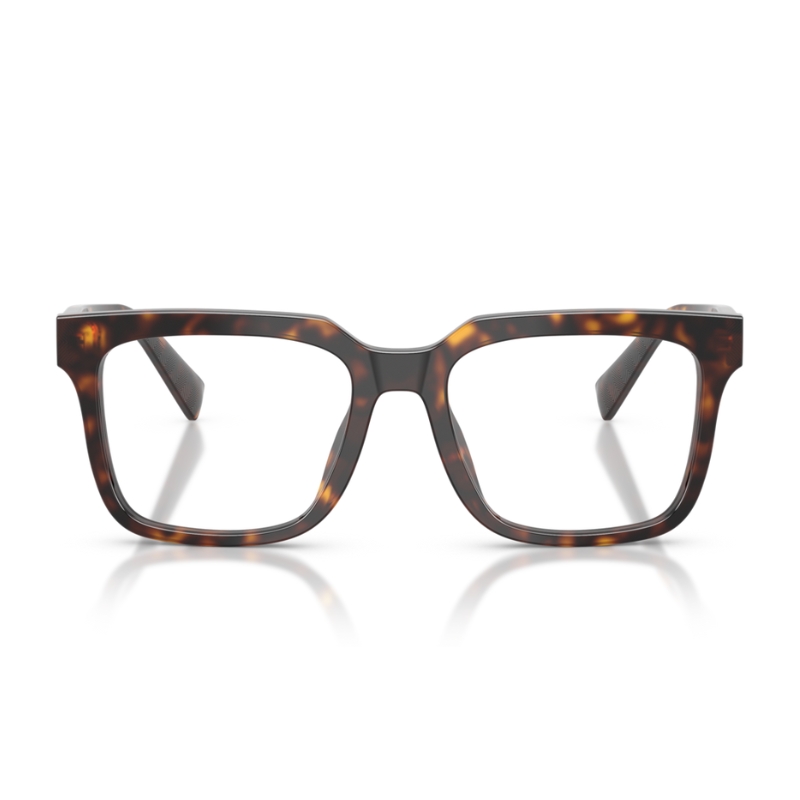 Dolce & Gabbana DG3422 502 51