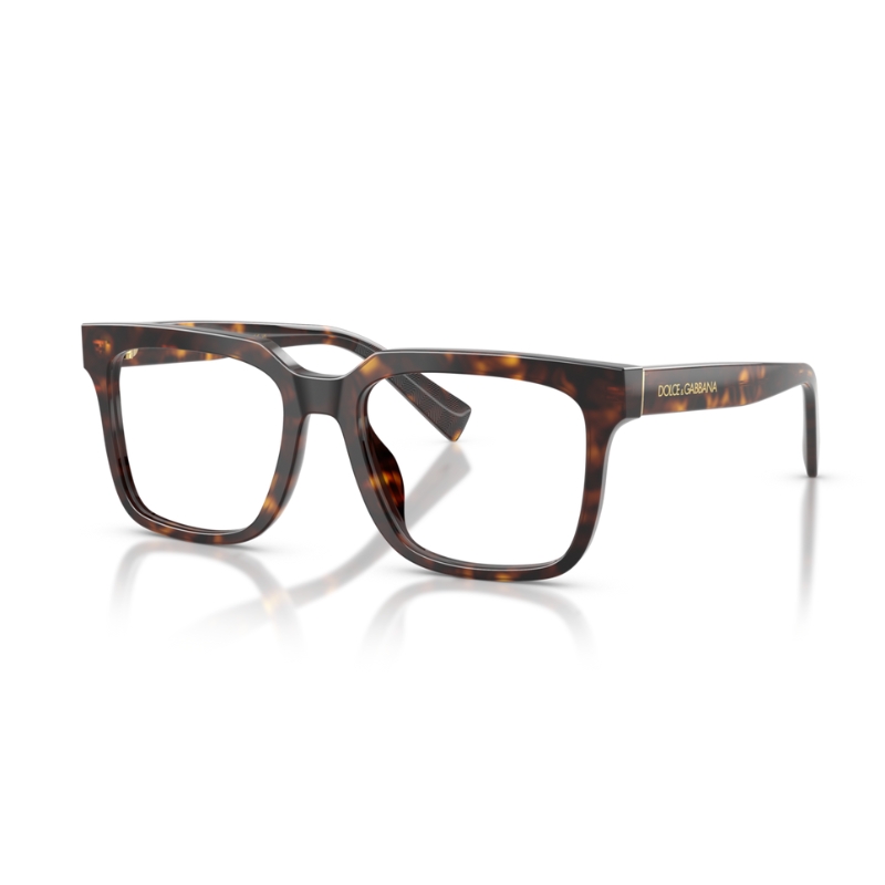 Dolce & Gabbana DG3422 502 51