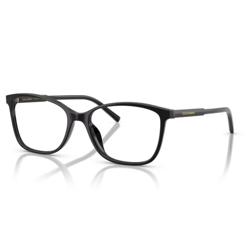 Dolce & Gabbana DG3424 501 54