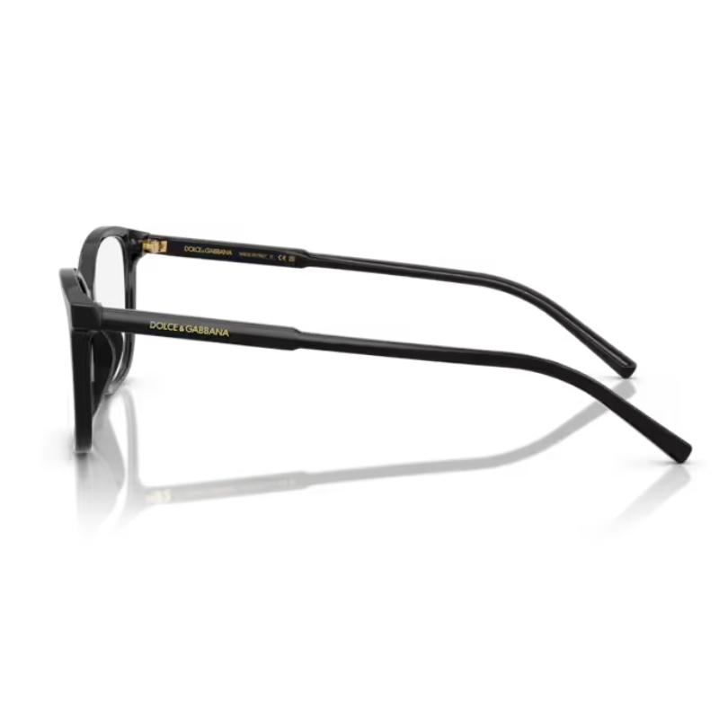 Dolce & Gabbana DG3424 501 54