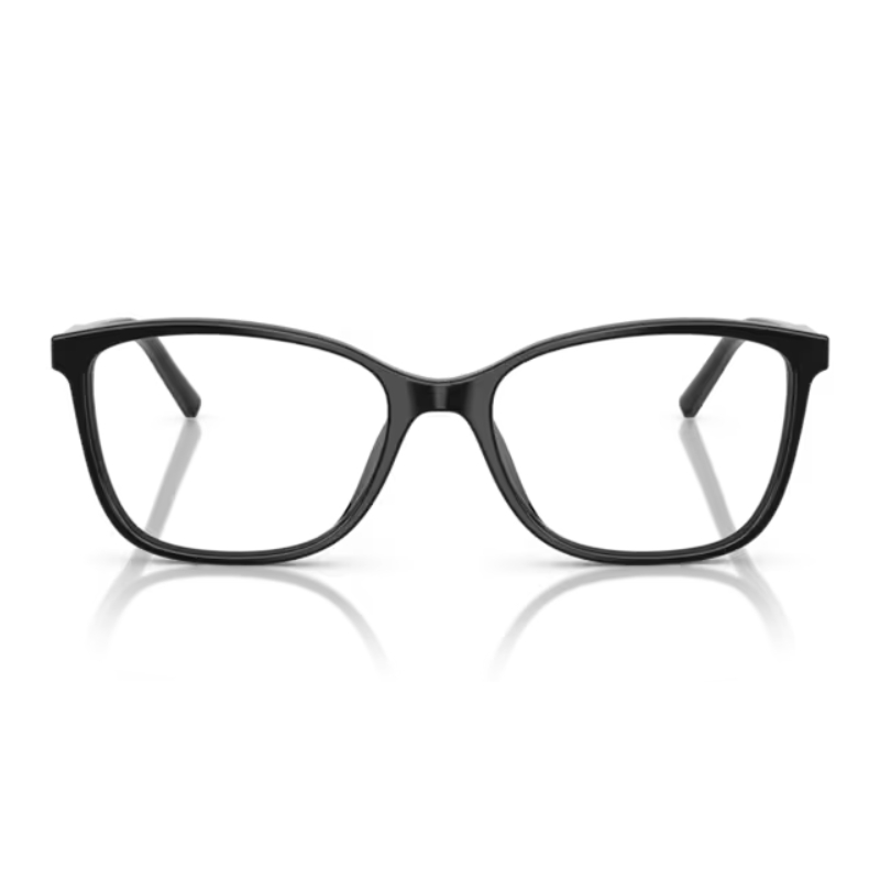Dolce & Gabbana DG3424 501 54