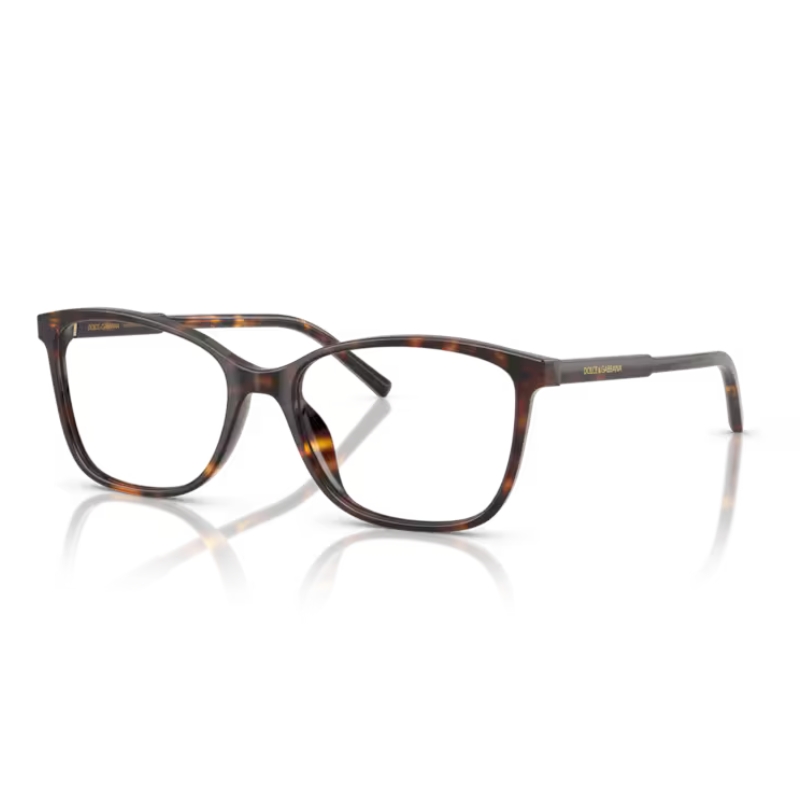 Dolce & Gabbana DG3424 502 52