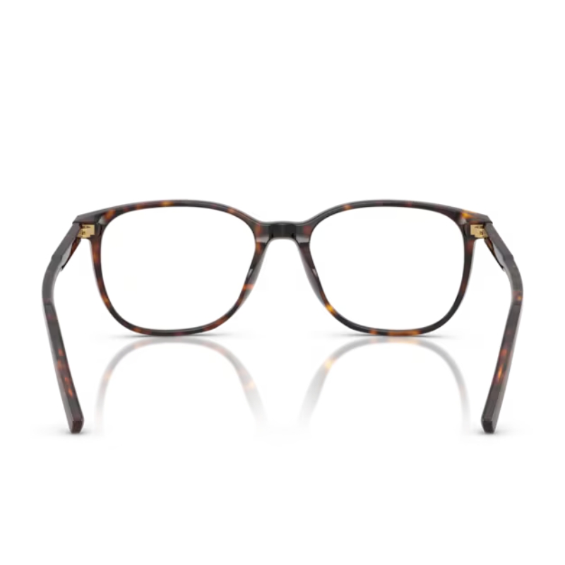 Dolce & Gabbana DG3426 502 53