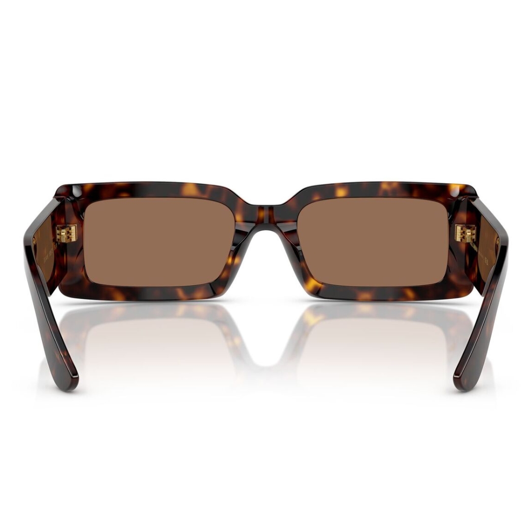 Dolce & Gabbana DG4416 193573 53