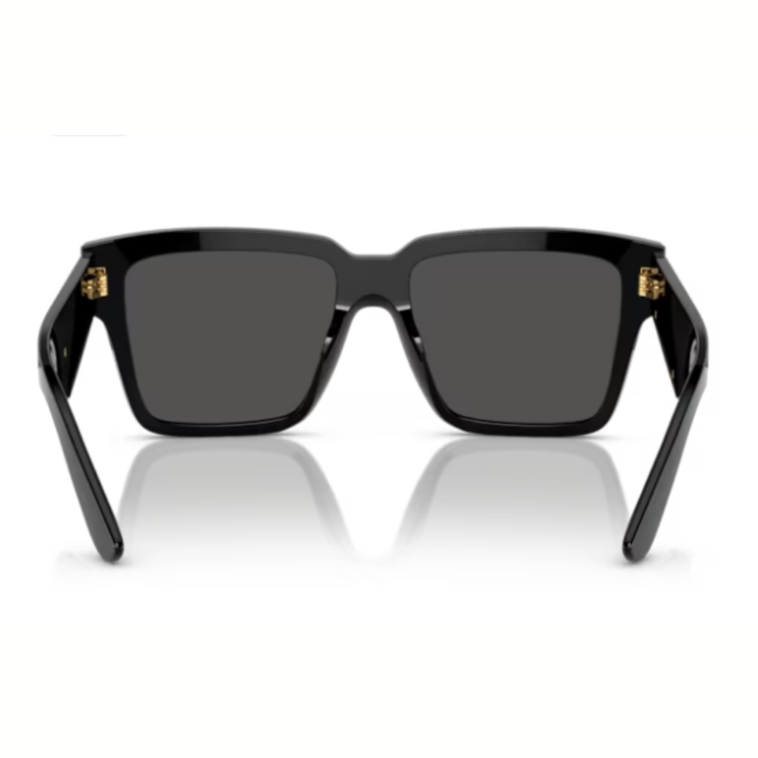 Dolce & Gabbana DG4436 501/87 55