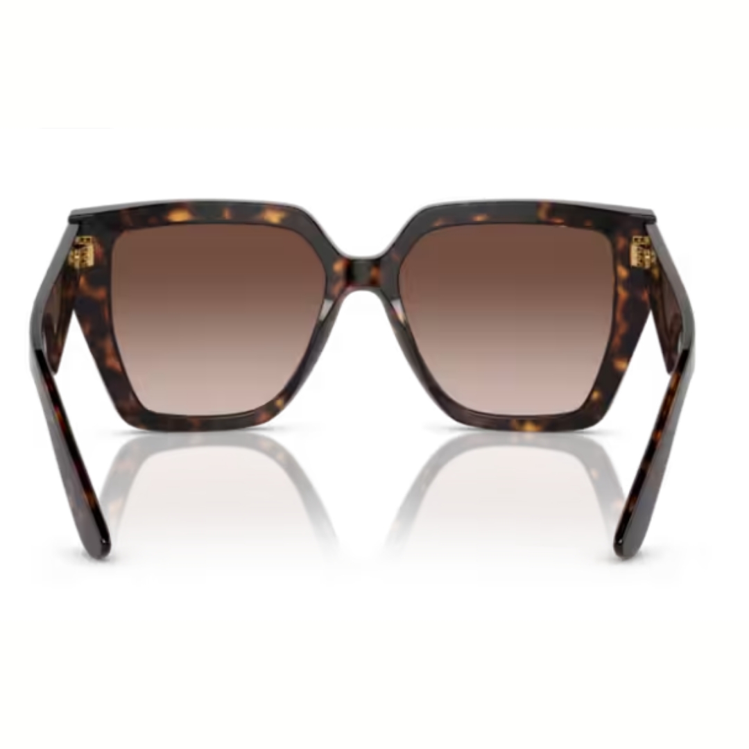 Dolce & Gabbana DG4438 502/13 55