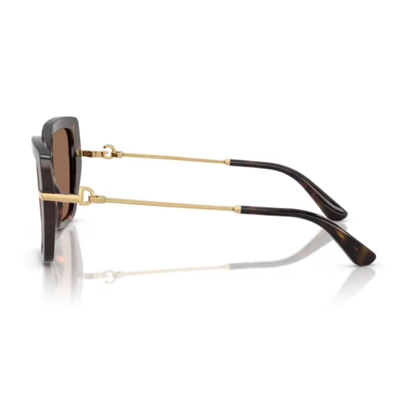 Dolce & Gabbana DG4474 502/73 53