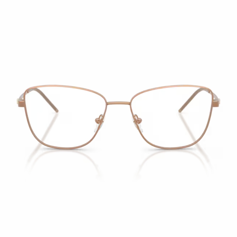 Emporio Armani EA1172 3400 53