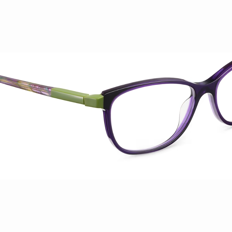 etnia BARCELONA EB 5 BAVIER 54O PUGR