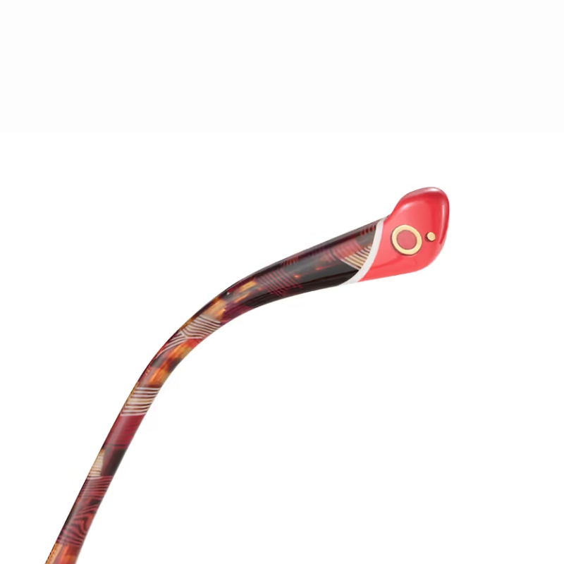 etnia BARCELONA EB 5 ETOSHA 54O RD