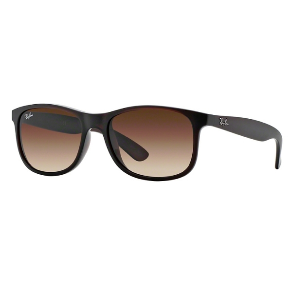 Ray Ban  ANDY RB4202 607313 55