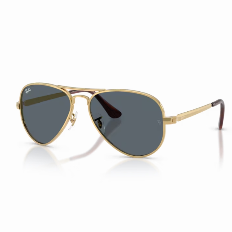 Ray Ban Aviator max RB3925 001/R5 58