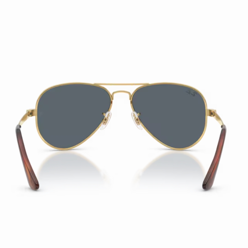 Ray Ban Aviator max RB3925 001/R5 58
