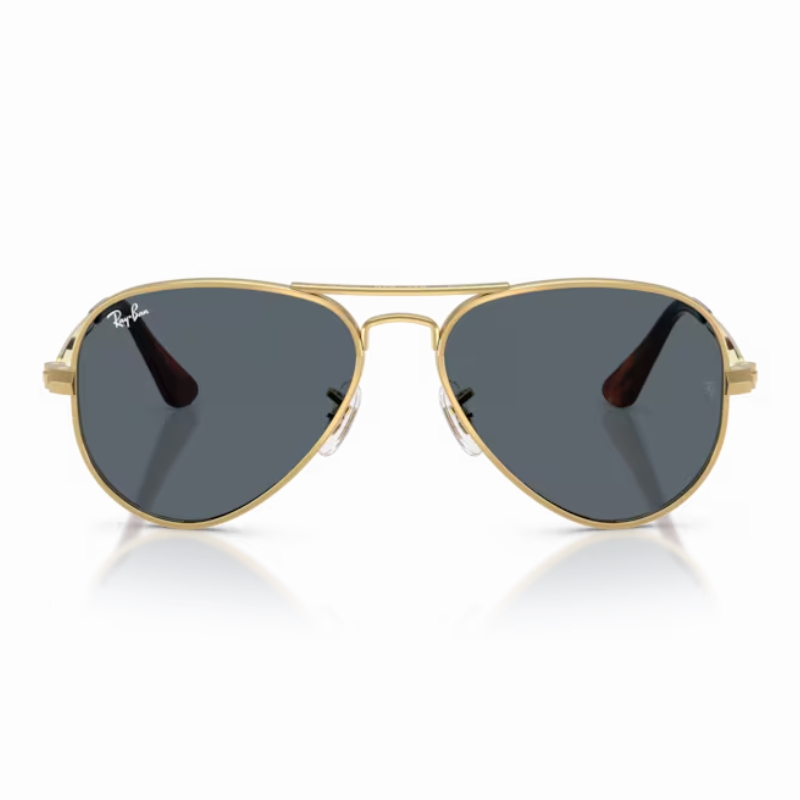 Ray Ban Aviator max RB3925 001/R5 58