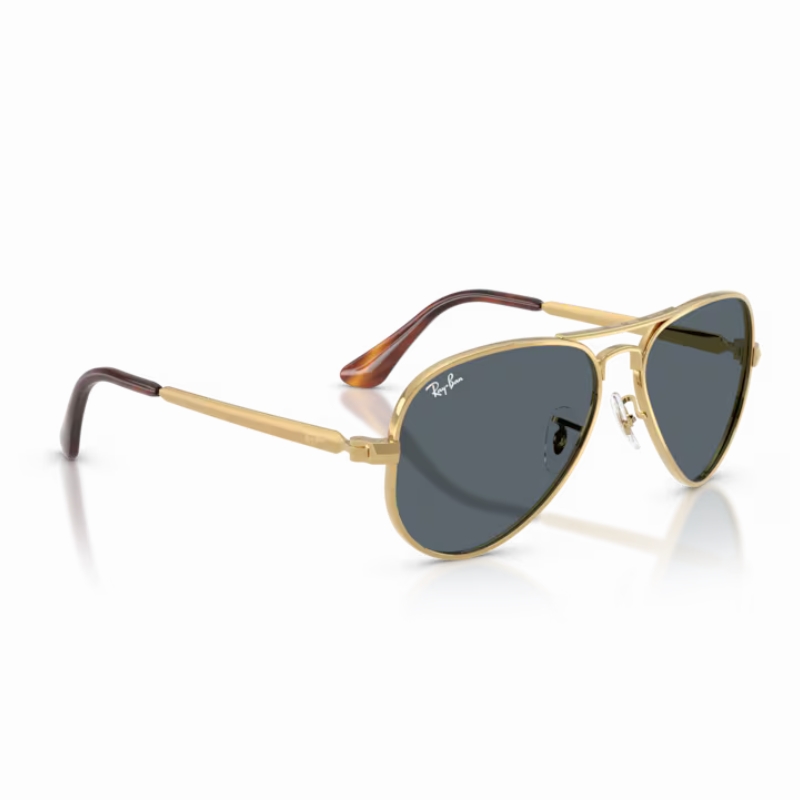 Ray Ban Aviator max RB3925 001/R5 58