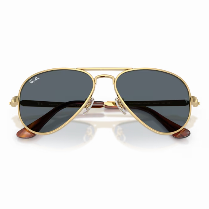 Ray Ban Aviator max RB3925 001/R5 58