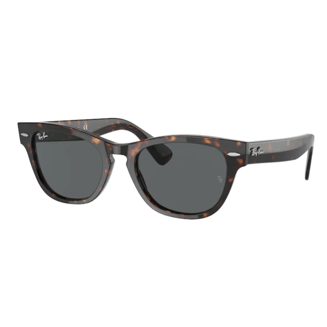 RAY BAN LARAMIE RB2201 902/B1 54