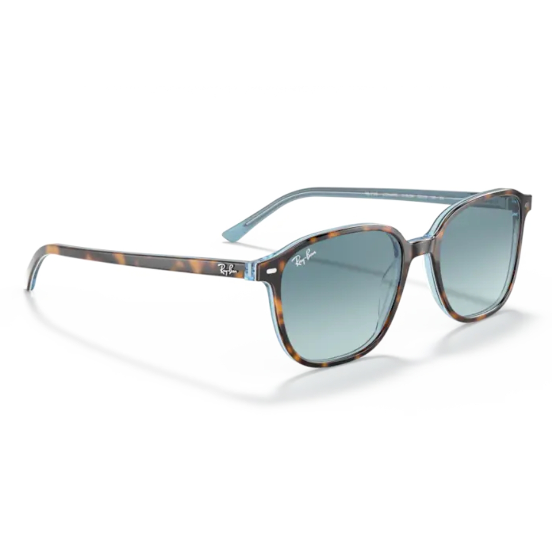 Ray Ban LEONARD RB2193 13163M 53