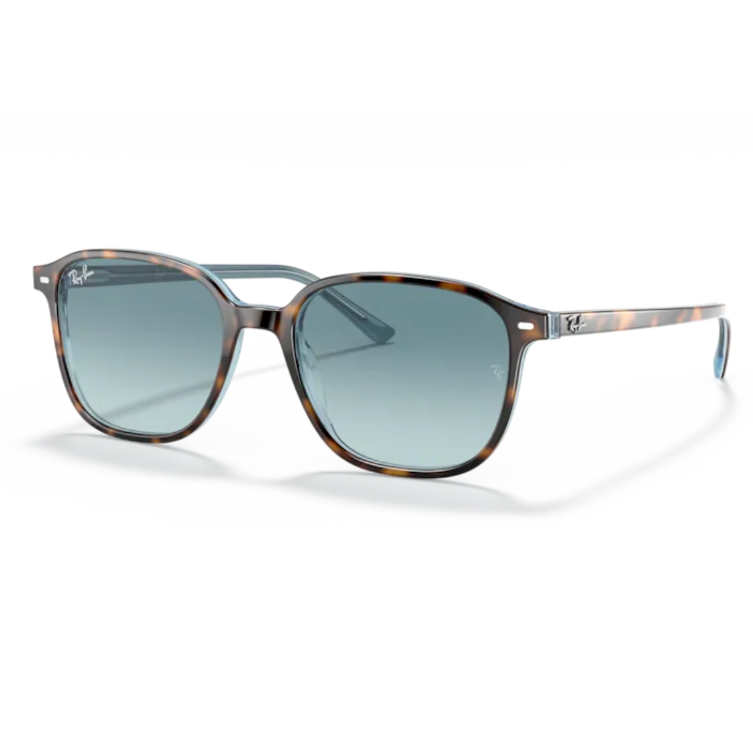 Ray Ban LEONARD RB2193 13163M 53