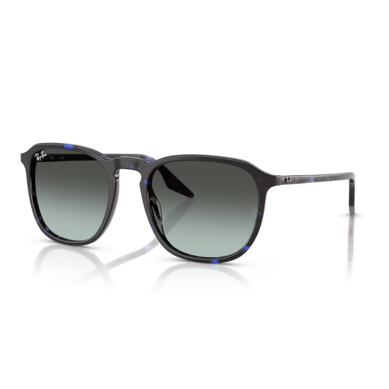 Ray Ban RB2203 1430GK 52