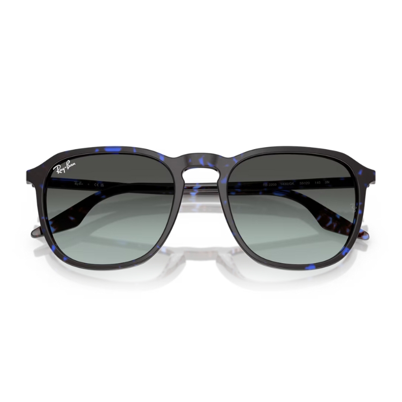 Ray Ban RB2203 1430GK 55