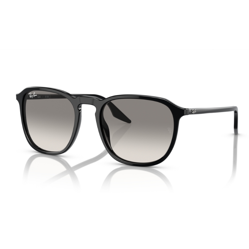 Ray Ban RB2203 901/32 52