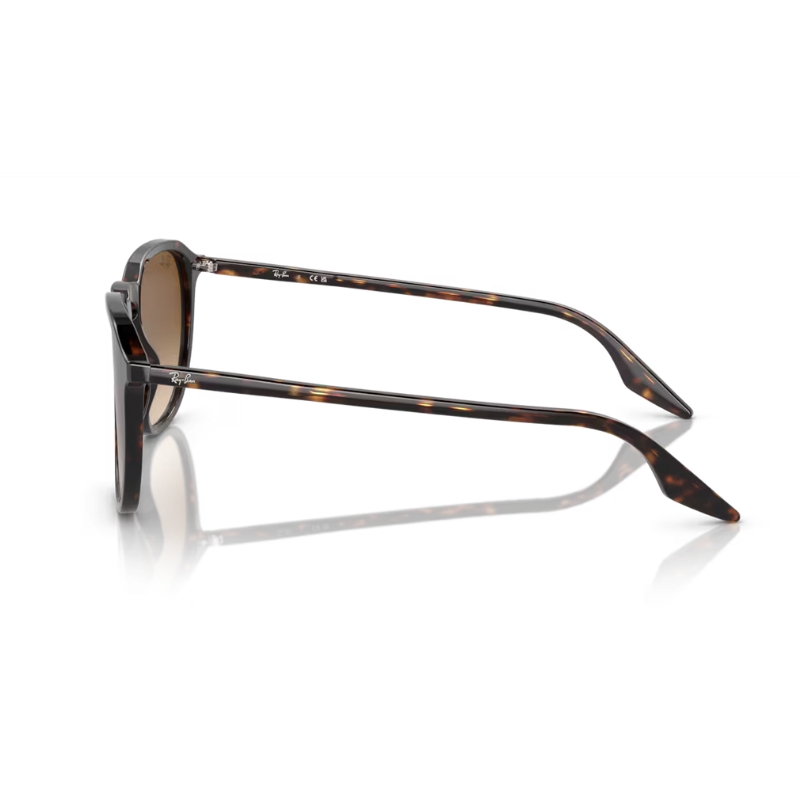 RAY BAN RB2203 902/51 55