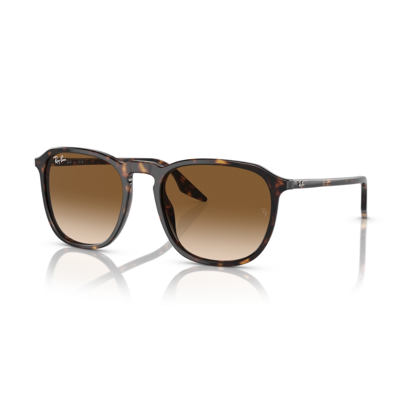 RAY BAN RB2203 902/51 55