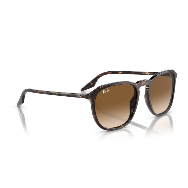 RAY BAN RB2203 902/51 55