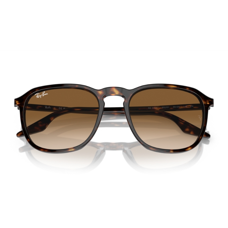 RAY BAN RB2203 902/51 55