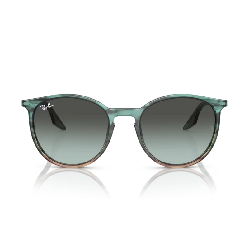 Ray Ban RB2204 1394GK 54