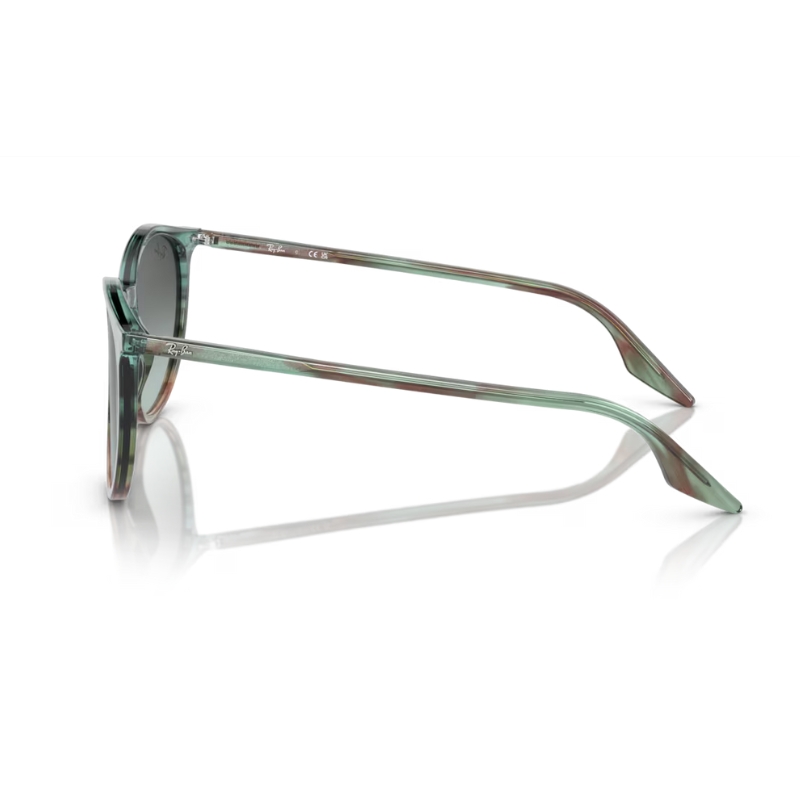 Ray Ban RB2204 1394GK 54