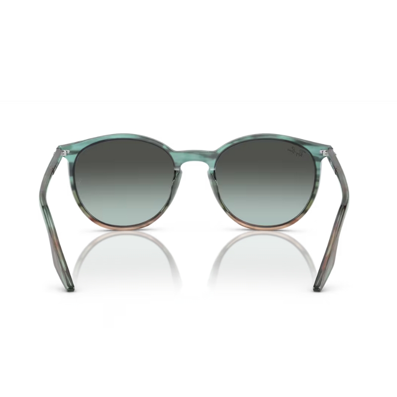 Ray Ban RB2204 1394GK 54