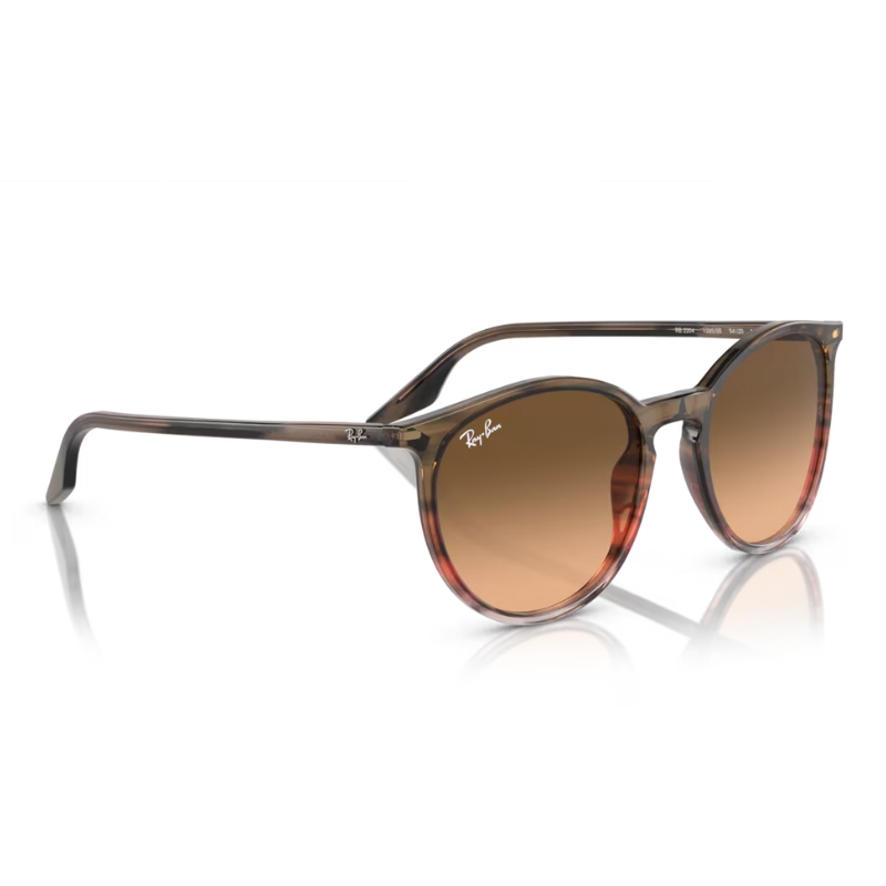 Ray Ban RB2204 13953B 51