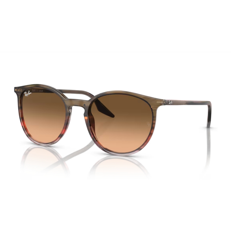 Ray Ban RB2204 13953B 51
