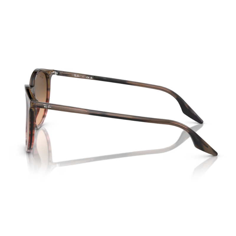 Ray Ban RB2204 13953B 51