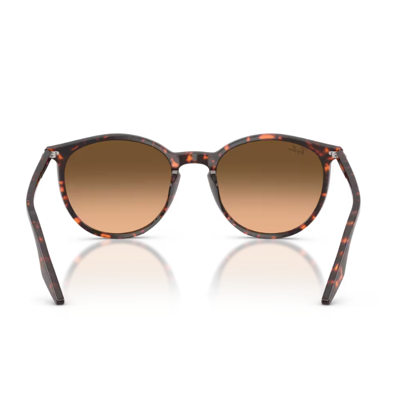Ray Ban RB2204 14293B 54