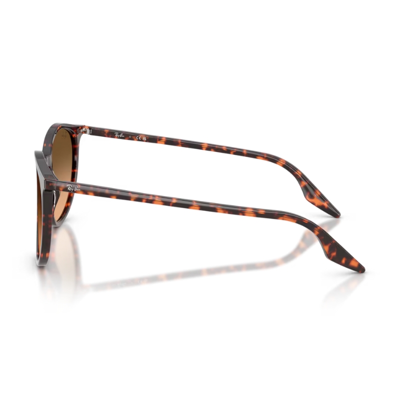 Ray Ban RB2204 14293B 54