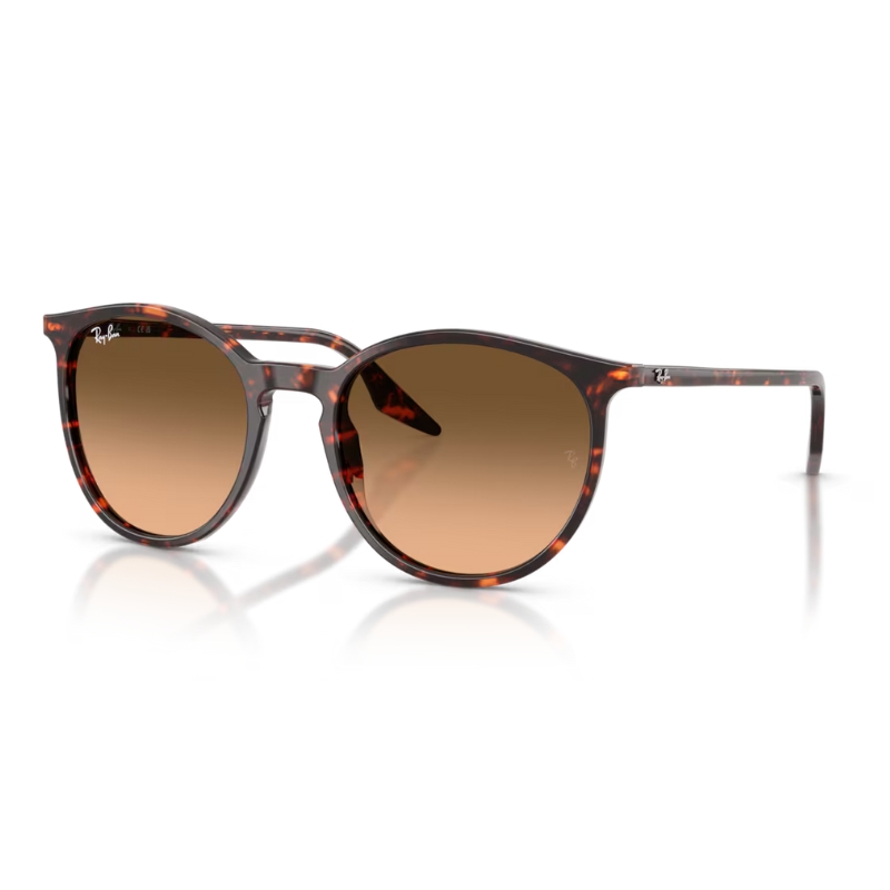 Ray Ban RB2204 14293B 54