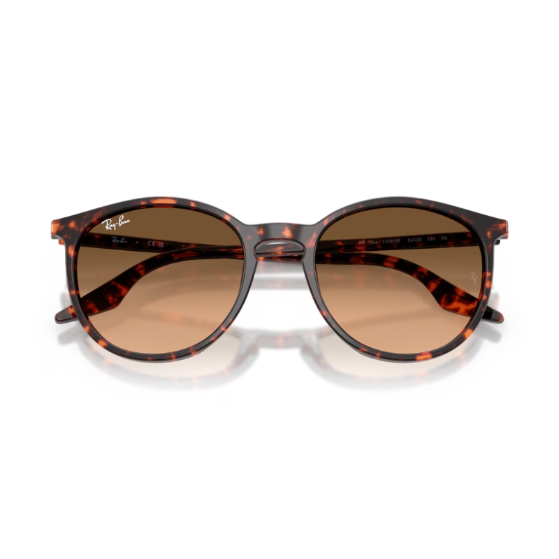 Ray Ban RB2204 14293B 54