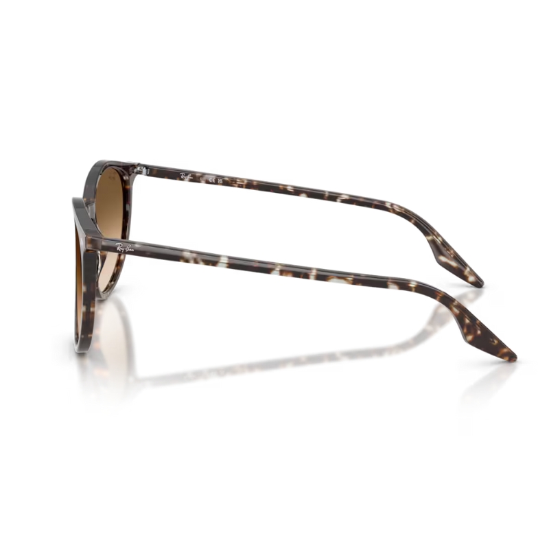 Ray Ban RB2204 143151 54