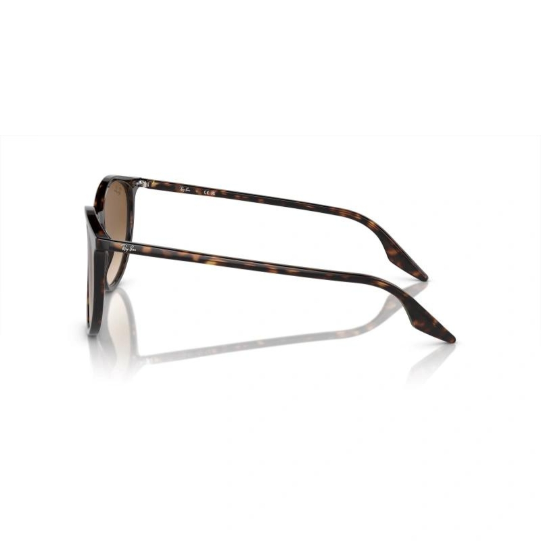 Ray Ban RB2204 902/51 51