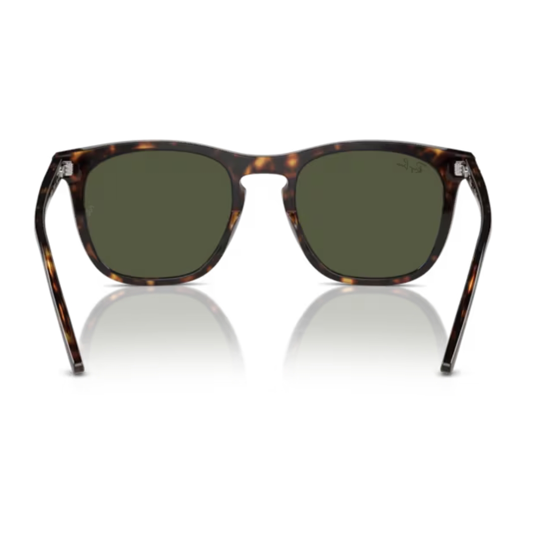 Ray Ban RB2210 902/31 53